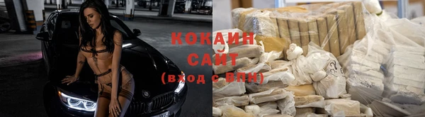 кокс Алзамай