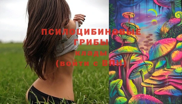 шишки Алексеевка