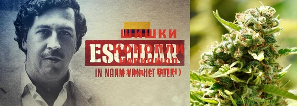 кокс Алзамай