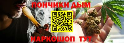 гашик Заводоуковск