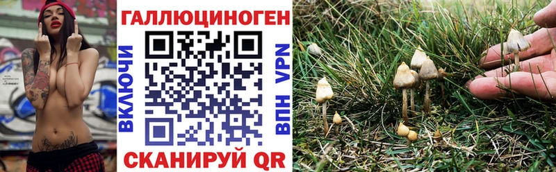 Псилоцибиновые грибы ЛСД Севастополь